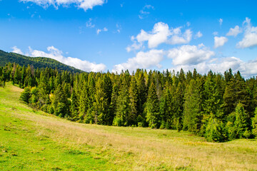 Fototapeta na wymiar glade on a hill near the forest and mountains on a warm summer day.