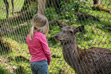 Ein kleines Mädchen und eine Hirschkuh beobachten sich gegenseitig
