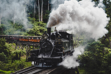 Obraz na płótnie Canvas Steam Train Crossing Wooden Trestle Bridge in the Forest 