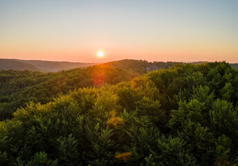 Vibrant foggy morning over dark forest trees at bright summer sunrise. Amazingl scenery of wild woodland at dawn