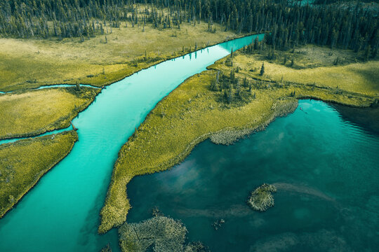 Aerial view of the river in the valley of the Multin lakes in Katun Nature Reserve, Multa, Altai Republic, Russia.