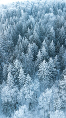 Vertical banner of snowy forest from air. Pines and other trees covered in snow.Nature concept. Christmas