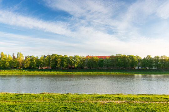 embankment of the river uzh in morning light. grassy shore and linden alley in spring season. travel ukraine concept. blue sky with clouds