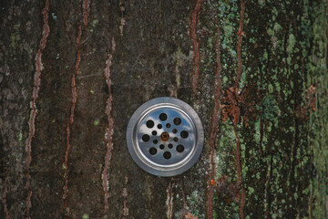 abstract piece of iron on the bark of a tree