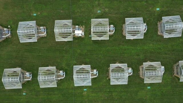Greenhouse science research open top chambers climate change, corn maize Zea mays ear, scientific on genetics and genes, modern greenhouses observation, scientist harvests, technology technical