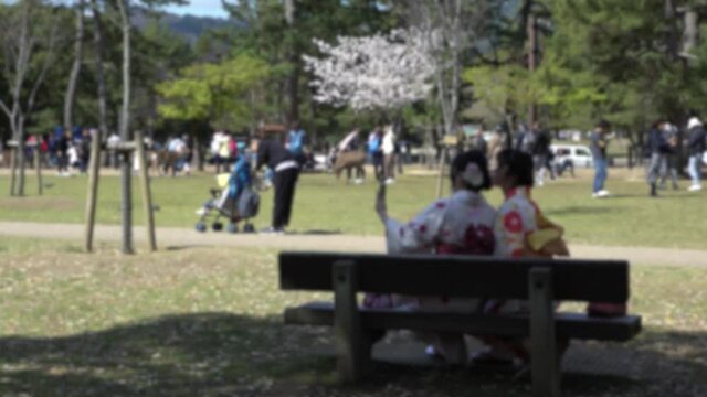 Blurred defocused view of maiko geisha sitting and taking selfie picture in Nara Park. Beautiful asian woman making self portrait with smartphone. Tourits visit Japan in holidays and make photograph