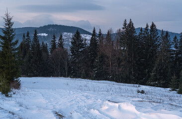 Small alpine village and winter snowy mountains in first sunrise sunlight around, Voronenko, Carpathian, Ukraine.