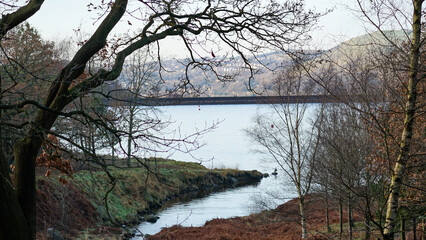 A view of the Dovestone Reservoir from behind the trees