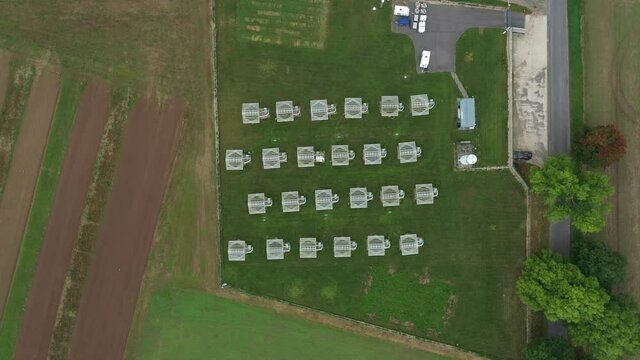 Science greenhouse research open top chambers climate change, corn maize Zea mays ear, scientific on genetics and genes, modern greenhouses observation, scientist harvests, technology technical