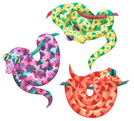 Set of bright colorful snakes decorative watercolor drawing isolated on white.