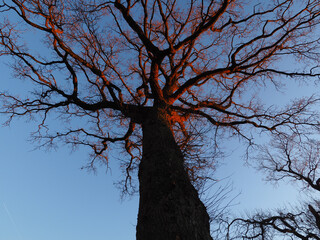 In der Morgensonne