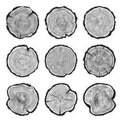 Round tree trunk cuts with cracks, sawn pine or oak slices, lumber. Saw cut timber, wood. Wooden texture with tree rings. Hand drawn sketch. Vector illustration © 32 pixels