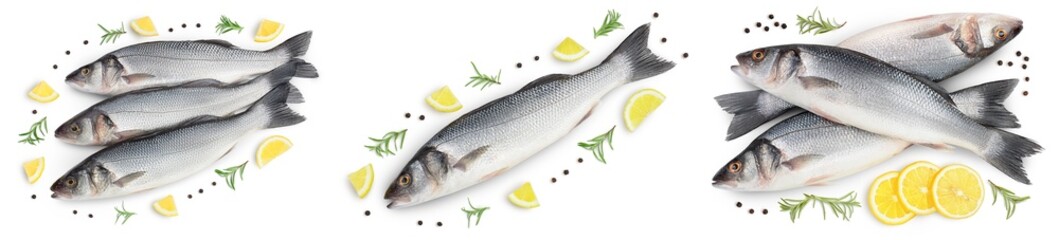 Sea bass fich isolated on white background. Top view. Flat lay. Set or collection