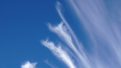 cumulus cirrus against blue background