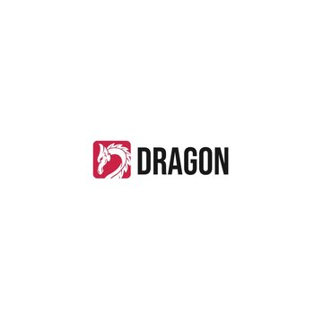 Modern flat colorful Dragon animation logo design