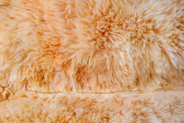 Orange fur background close-up beautiful abstract fur texture