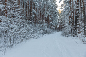 Beautiful winter calendar landscape with a lot of snow on forest road