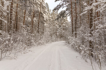 Beautiful winter calendar landscape with a lot of snow on forest road