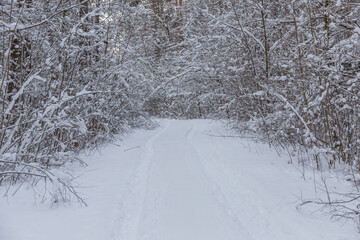 Obraz premium Beautiful winter calendar landscape with a lot of snow on forest road