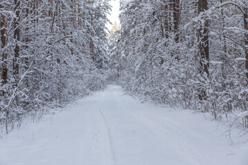Beautiful winter calendar landscape with a lot of snow on forest road