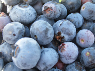 blueberries