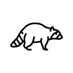 raccoon wild animal line icon vector. raccoon wild animal sign. isolated contour symbol black illustration © vectorwin