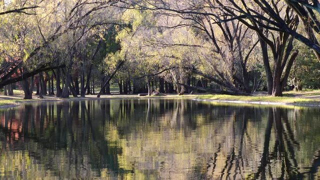 Landscape of beautiful autumn forest park, trees in sunlight with reflections in lake, loop able 4k slow motion footage.