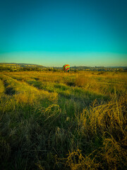 Hot air balloon landing in a field