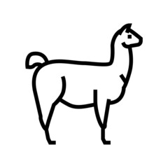 lama wild animal line icon vector. lama wild animal sign. isolated contour symbol black illustration © vectorwin
