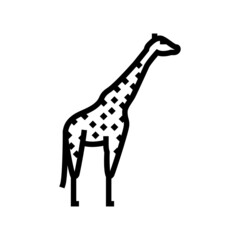 giraffe animal in zoo line icon vector. giraffe animal in zoo sign. isolated contour symbol black illustration