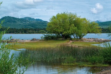 lake and forest