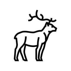deer animal in zoo line icon vector. deer animal in zoo sign. isolated contour symbol black illustration