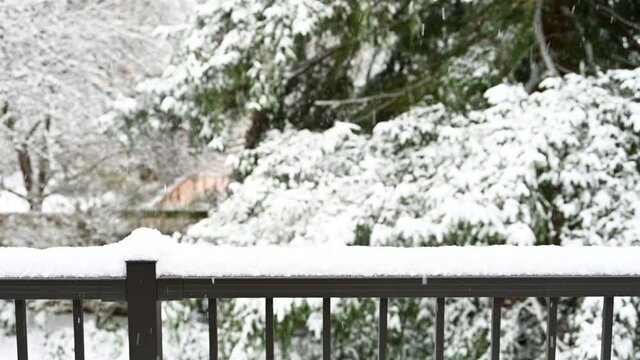 Snowing peacefully in a backyard over a deck railing, evergreen tree in the background

