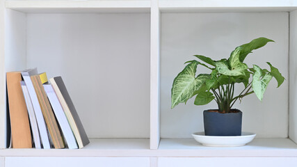 White wooden bookcase with books and houseplant in living room.