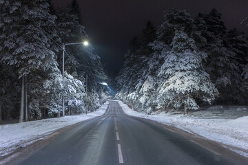 Obraz premium road in the winter night forest