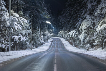 road in the winter night forest