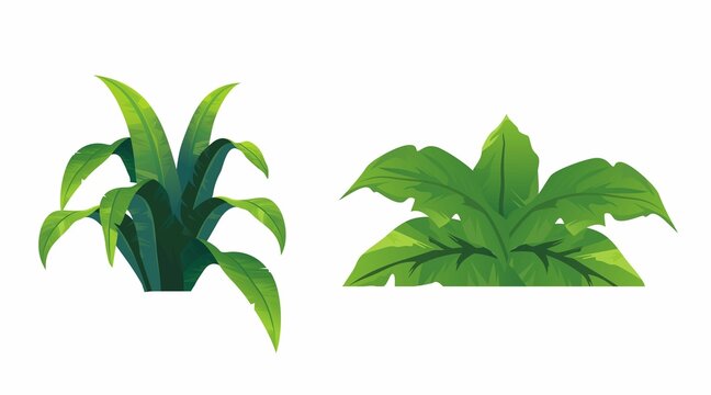 green leaf illustration