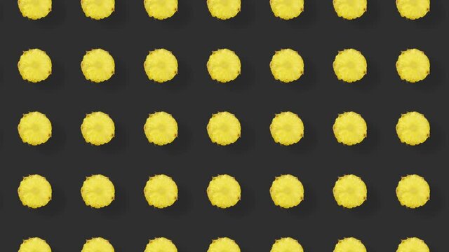 Colorful fruit pattern of fresh pineapple. Seamless pattern with pineapple sliced. Realistic animation. 4K video motion