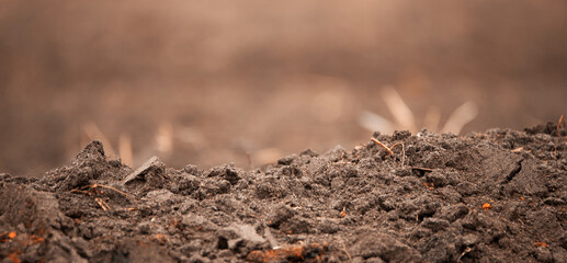 cultivated soil in the field selective focus.