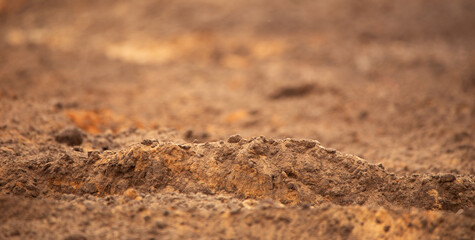 cultivated soil in the field selective focus.