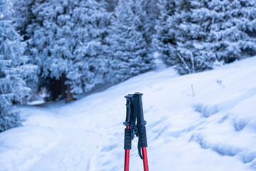 Trekking poles handles on the background of the beginning of the winter trail in the mountains. The...