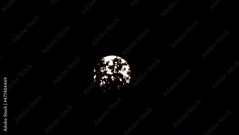 Poster tree branches in silhouette with bright full moon in background at night. time lapse