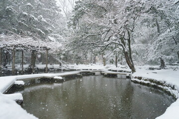 雪の金沢、尾山神社の境内にある池