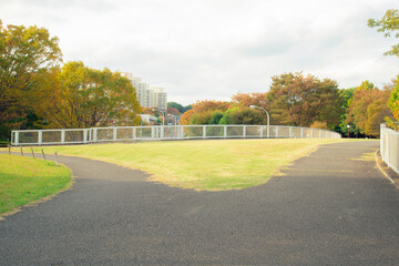 公園の分かれ道のある背景