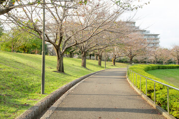 カーブする公園の散歩道の背景