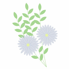 flower isolated on white