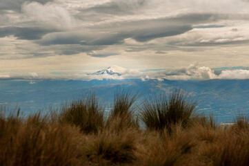 Snowcapped Cayambe Volcano with Andes grass in foreground seen from Pichincha Volcano, Quito, Ecuador. Focus on volcano.