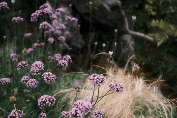 花　ガーデニング風