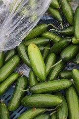 organic cucumbers in the market