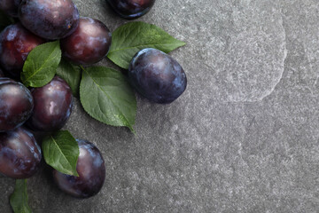 Fresh purple damson plums with leaves on stone table top view, copy space on the right, selective focus